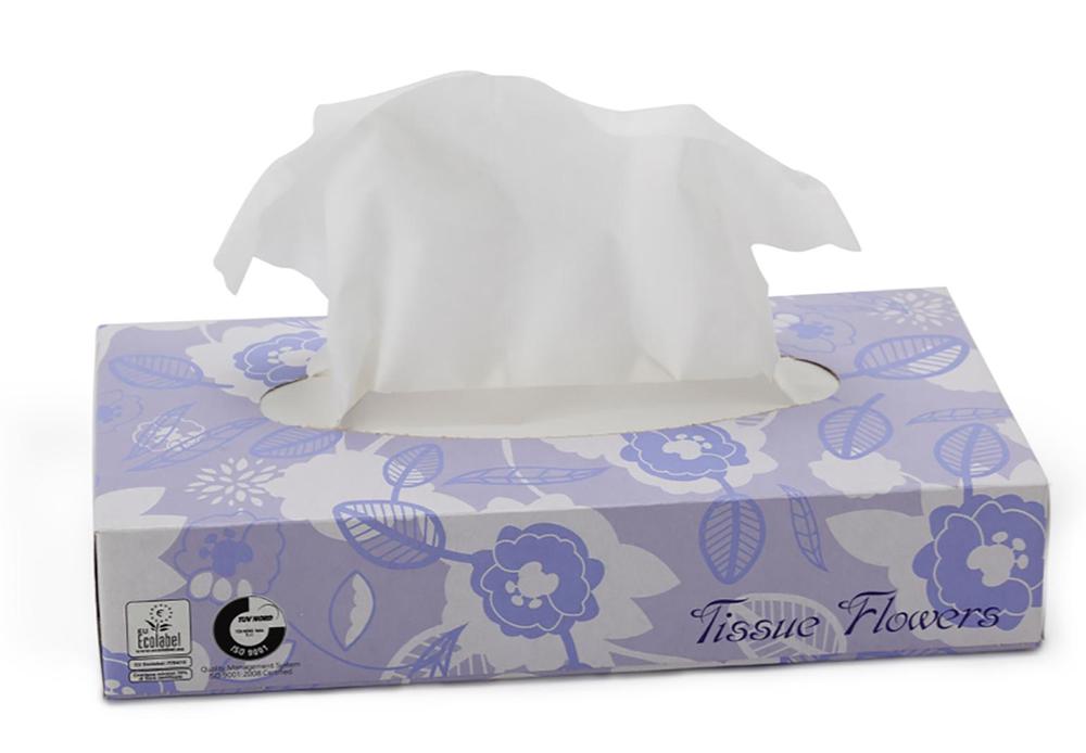 Papírové kosmetické ubrousky CELTEX Facial Tissue, 2vrstvy - 100ks