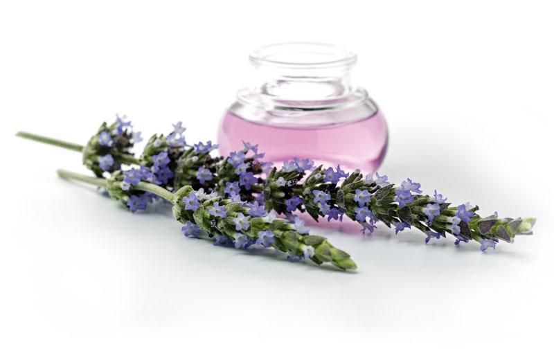 Aromatická vůně LAVENDER FIELDS do osvěžovače vzduchu HyScent